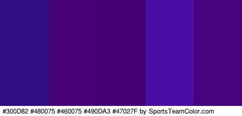 #300D82 #480075 #460075 #490DA3 #47027F Colors