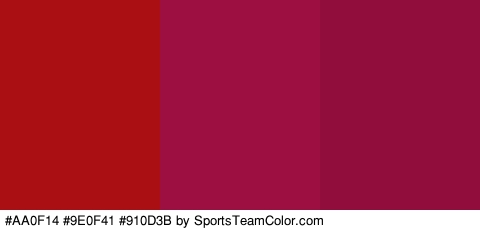 #AA0F14 #9E0F41 #910D3B Colors