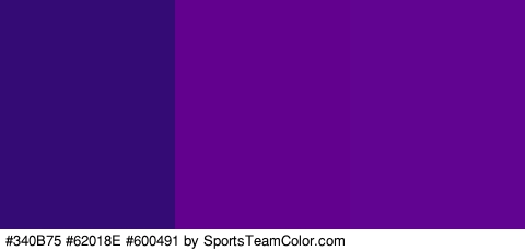 #340B75 #62018E #600491 Colors