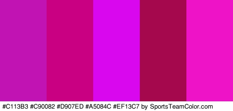 #C113B3 #C90082 #D907ED #A5084C #EF13C7 Colors