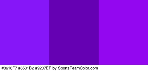 #8616F7 #6501B2 #9207EF Colors