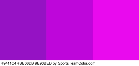 #9411C4 #BE06DB #E90BED Colors