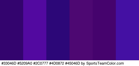 #33046D #5209A0 #2C0777 #4D0872 #45046D #4310A3 Colors