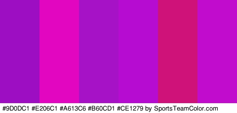 #9D0DC1 #E206C1 #A613C6 #B60CD1 #CE1279 #C10CCE Colors