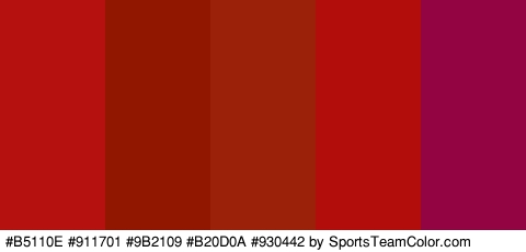 #B5110E #911701 #9B2109 #B20D0A #930442 Colors