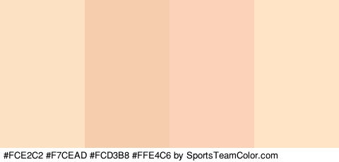 #FCE2C2 #F7CEAD #FCD3B8 #FFE4C6 Colors