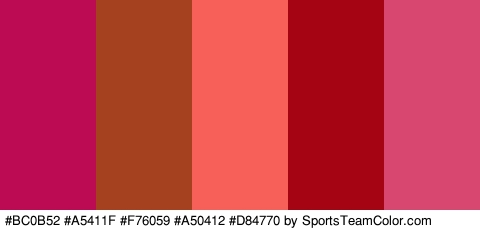 #BC0B52 #A5411F #F76059 #A50412 #D84770 Colors