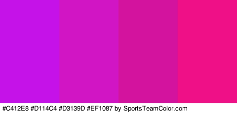 #C412E8 #D114C4 #D3139D #EF1087 Colors