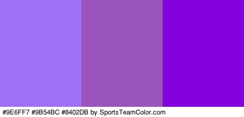 #9E6FF7 #9B54BC #8402DB Colors