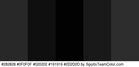 #282828 #0F0F0F #020202 #191919 #2D2D2D Colors