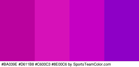 #BA039E #D611B8 #C600C3 #8E00C6 Colors