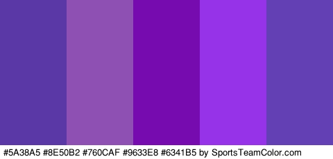 #5A38A5 #8E50B2 #760CAF #9633E8 #6341B5 Colors