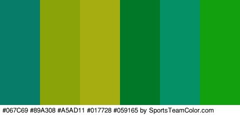 #067C69 #89A308 #A5AD11 #017728 #059165 #13A00E Colors