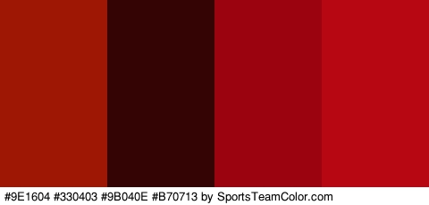 #9E1604 #330403 #9B040E #B70713 Colors