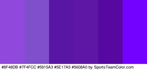 #8F48DB #7F4FCC #5915A3 #5E17A5 #5608A0 #7402FF Colors