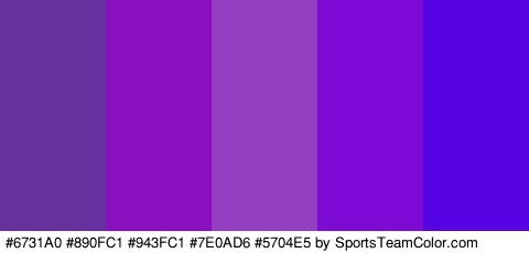 #6731A0 #890FC1 #943FC1 #7E0AD6 #5704E5 Colors