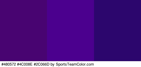 #480572 #4C008E #2C066D Colors