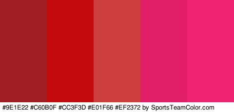 #9E1E22 #C60B0F #CC3F3D #E01F66 #EF2372 Colors