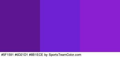 #5F1591 #6D21D1 #8B1ECE Colors