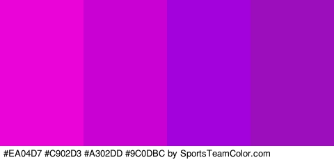 #EA04D7 #C902D3 #A302DD #9C0DBC Colors