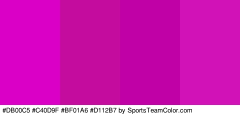 #DB00C5 #C40D9F #BF01A6 #D112B7 Colors