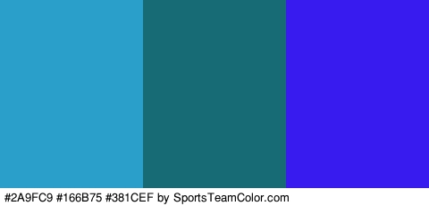 #2A9FC9 #166B75 #381CEF Colors