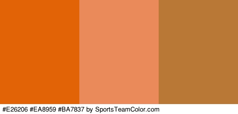 #E26206 #EA8959 #BA7837 Colors