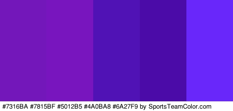 #7316BA #7815BF #5012B5 #4A0BA8 #6A27F9 Colors