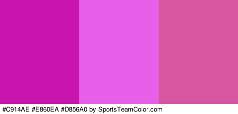 #C914AE #E860EA #D856A0 Colors