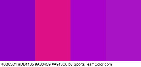 #8B03C1 #DD1185 #A804C9 #A913C6 Colors