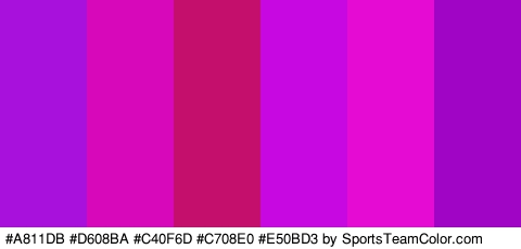 #A811DB #D608BA #C40F6D #C708E0 #E50BD3 #A005C6 Colors