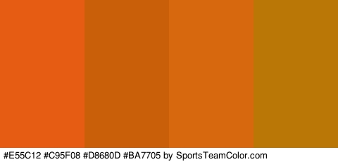 #E55C12 #C95F08 #D8680D #BA7705 Colors