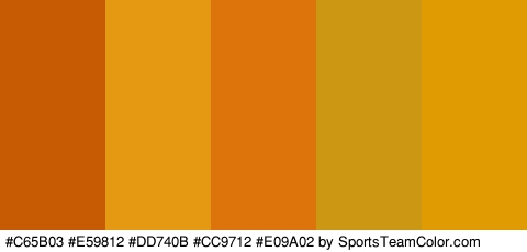 #C65B03 #E59812 #DD740B #CC9712 #E09A02 Colors