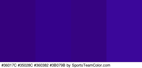 #36017C #35028C #360382 #3B079B Colors