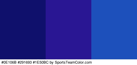 #0E106B #291693 #1E50BC Colors