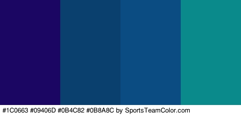 #1C0663 #09406D #0B4C82 #0B8A8C Colors