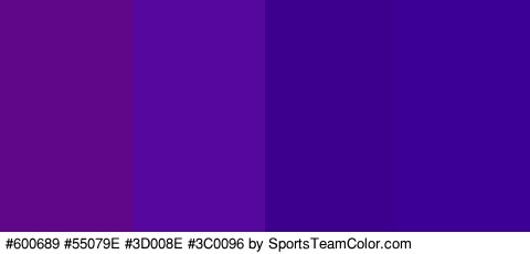 #600689 #55079E #3D008E #3C0096 Colors