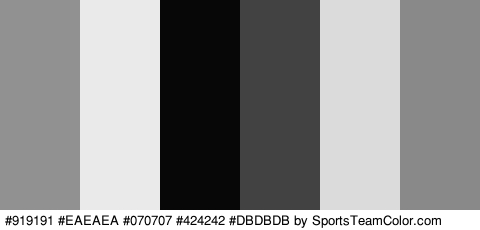 #919191 #EAEAEA #070707 #424242 #DBDBDB #898989 Colors