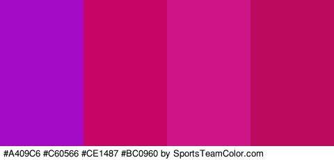 #A409C6 #C60566 #CE1487 #BC0960 Colors