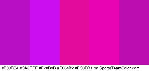 #B80FC4 #CA0EEF #E20B9B #E804B2 #BC0DB1 Colors