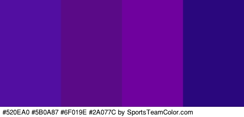 #520EA0 #5B0A87 #6F019E #2A077C Colors