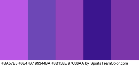 #BA57E5 #6E47B7 #9344BA #3B158E #7C36AA Colors