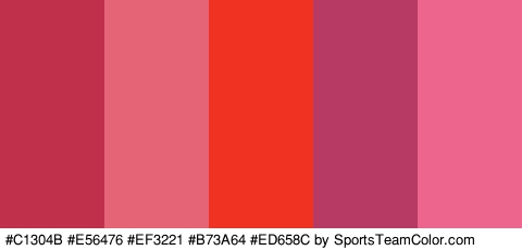 #C1304B #E56476 #EF3221 #B73A64 #ED658C Colors