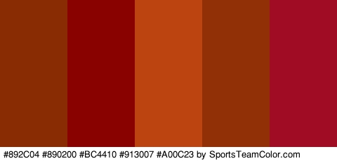 #892C04 #890200 #BC4410 #913007 #A00C23 Colors