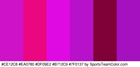 #CE12C8 #EA0780 #DF09E2 #B712C9 #7F0137 #A511BF Colors