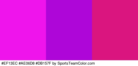 #EF13EC #AE06D8 #DB157F Colors