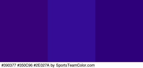 #390377 #350C96 #2E027A Colors