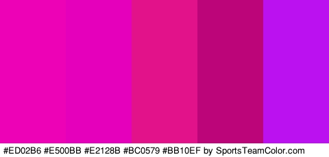 #ED02B6 #E500BB #E2128B #BC0579 #BB10EF Colors