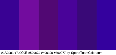 #3A0293 #720C9E #520872 #490399 #390977 #34009E Colors