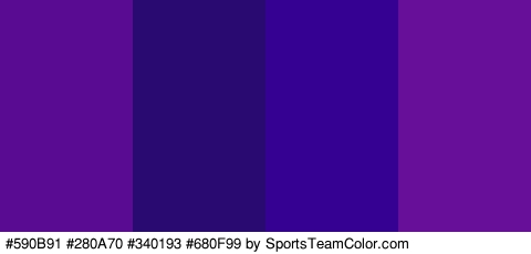 #590B91 #280A70 #340193 #680F99 Colors